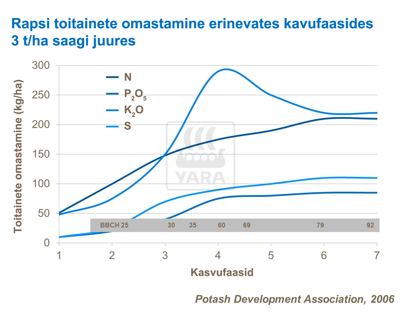 Rapsi kasvufaasid