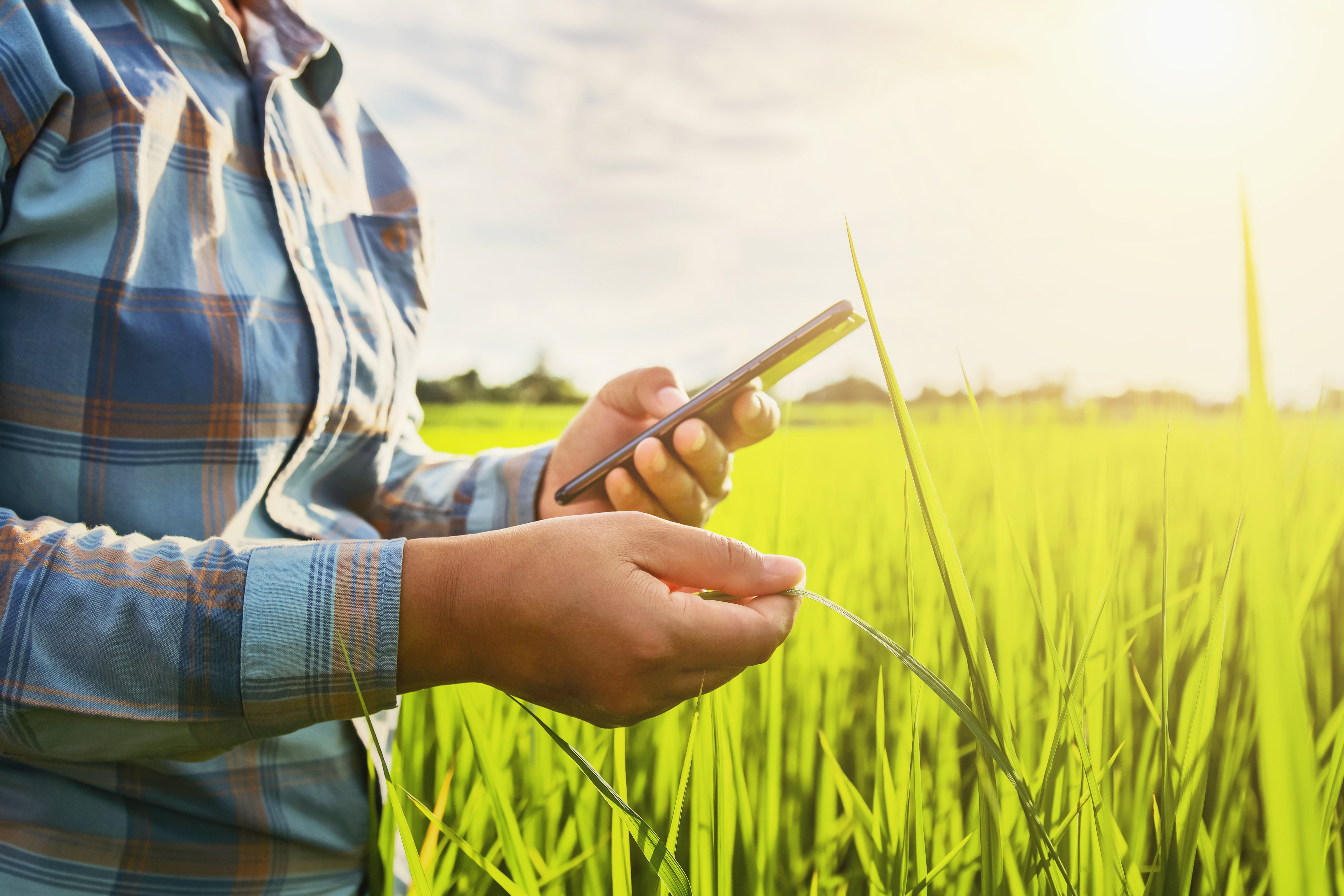 Mobile farmer