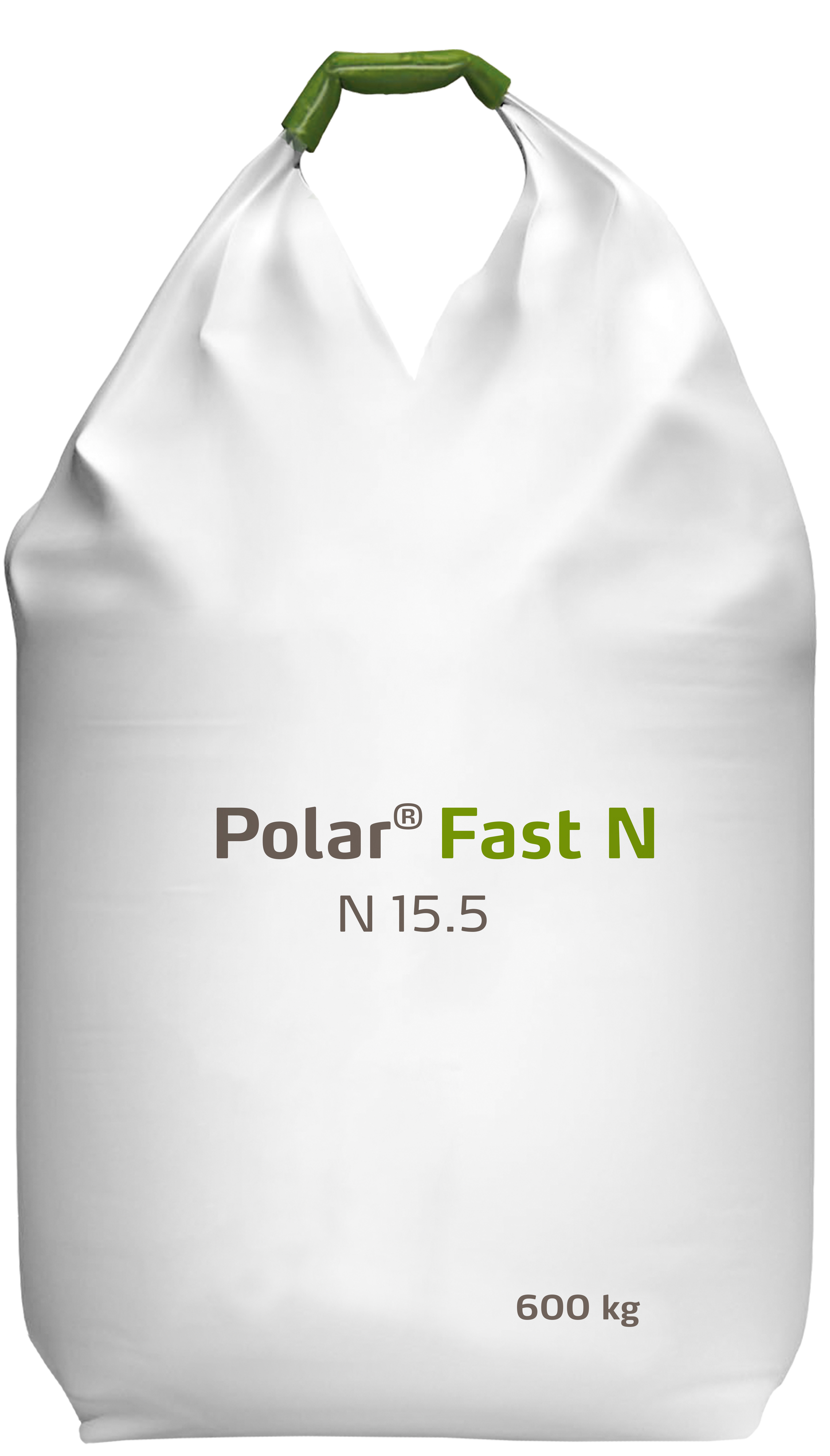 Polar Fast N