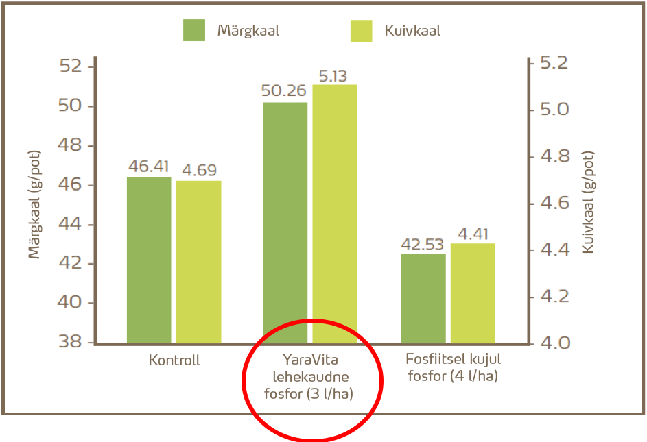 Joonis 1. YaraVita fosforit sisaldav toode võrreldes pritsimata (kontroll) ja fosfiitsel kujul fosforit sisaldava tootega. 