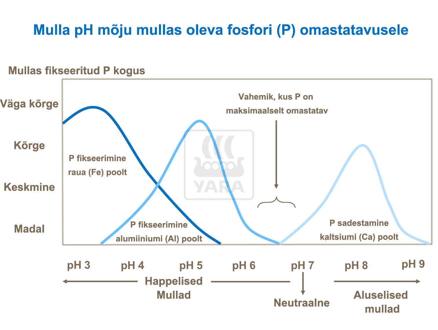Kartulimugulate arvu suurendamine