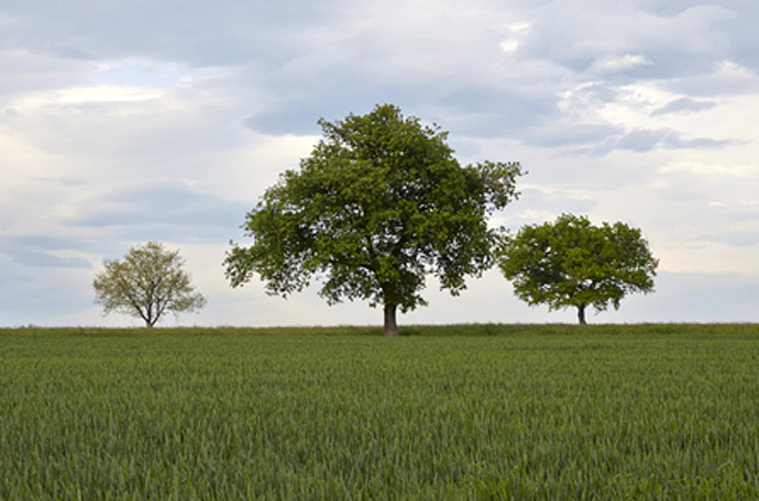 YaraBela väetised on keskkonnasäästlikud