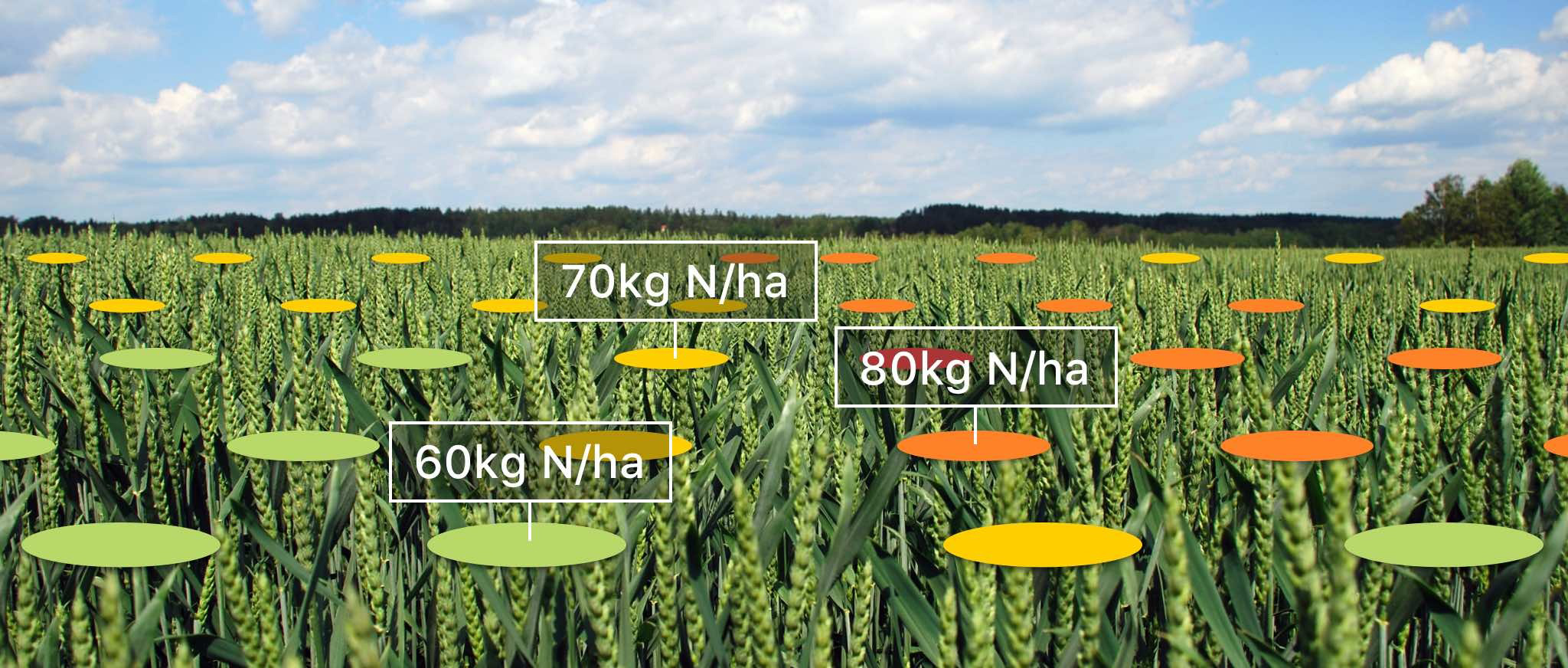 Atfarmi tehniline tugi