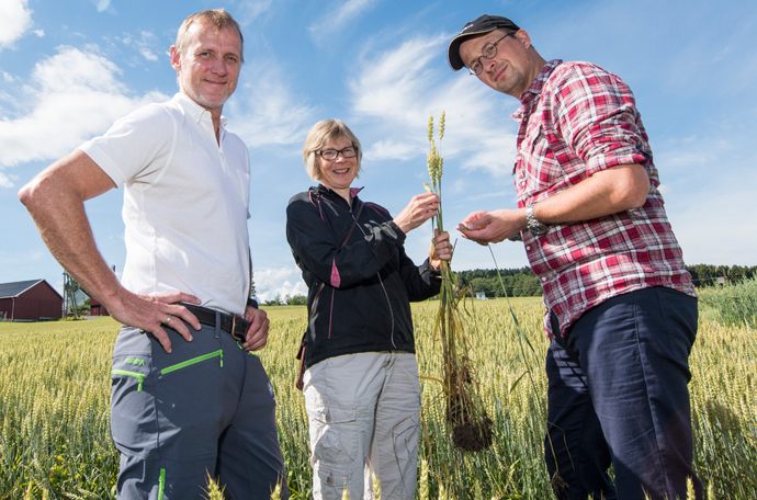 YaraBela annab selgelt nähtavad tulemused