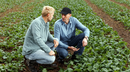 Agronoomilised põhitõed