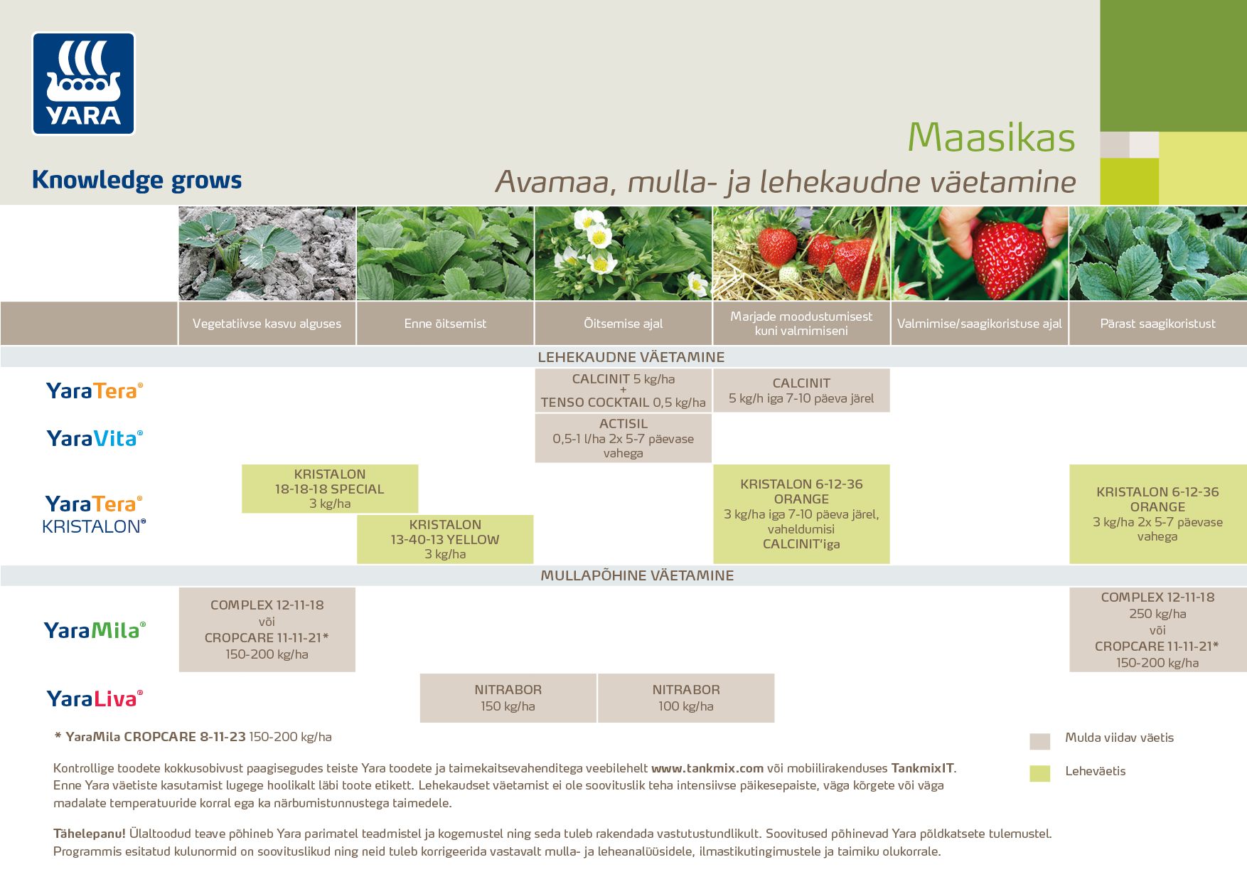 Maasika väetamisprogramm
