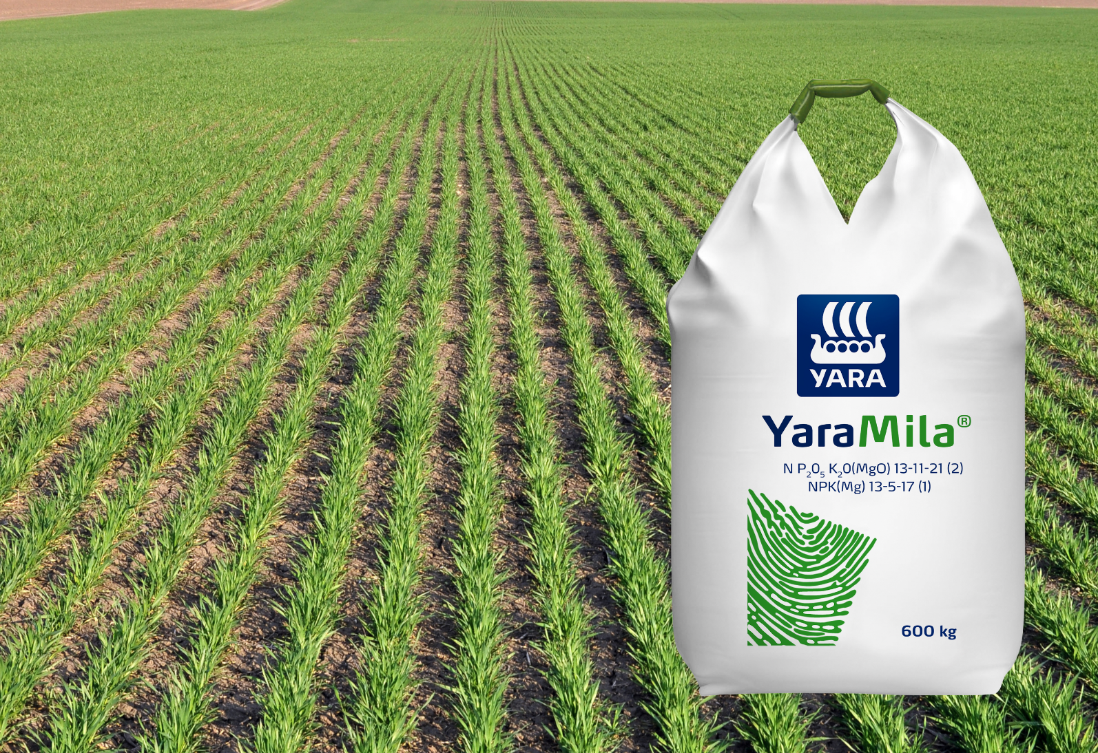 YaraMila NPK(Mg) 13-5-17(1)